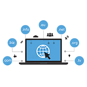 Domain & Hosting Service